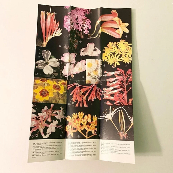 Vintage Lot of 4 Louisiana Brochures  Hodges Gardens Natchitoches Vernon Parish - Picture 6 of 16